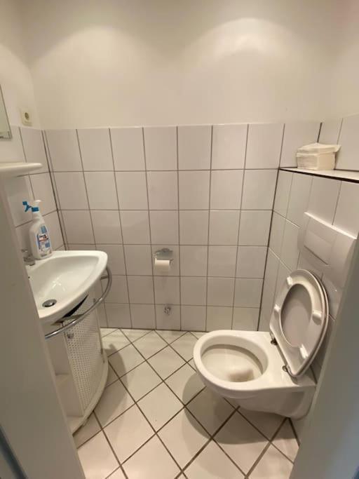Studio 50 Qm Zentral In Domnaehe 科隆 外观 照片